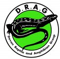 Devon Reptile &amp; Amphibian Group (DRAG)