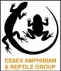 Essex Amphibian &amp; Reptile Group (EARG)