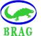 Berkshire Reptile and Amphibian Group (BRAG)