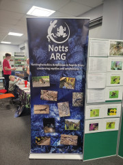 20251108 DaNES Show 2