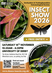 2026 DaNES Show poster