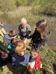 newt success reduced