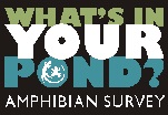 whats in your pond logo survey