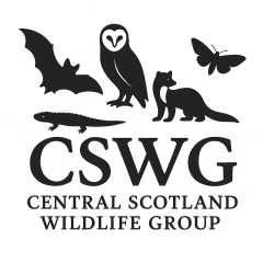 20251130 CSWG BW.2 Logo