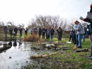 433695 pond picture