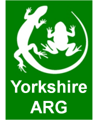 Latest GW Y ARG Logo