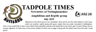Newletter Header